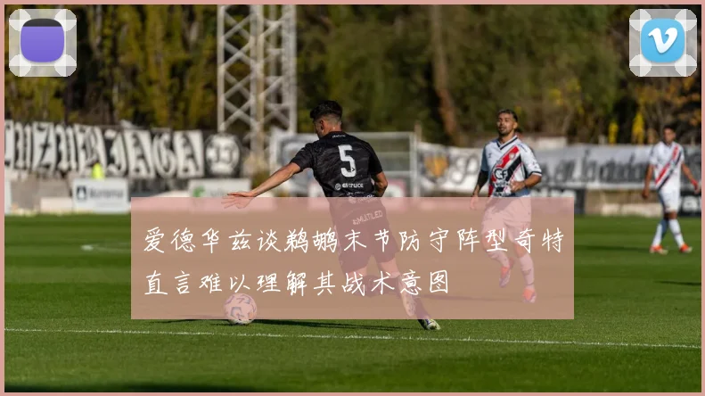 爱德华兹谈鹈鹕末节防守阵型奇特直言难以理解其战术意图
