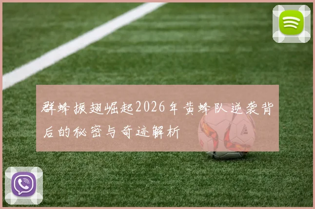 群蜂振翅崛起2026年黄蜂队逆袭背后的秘密与奇迹解析