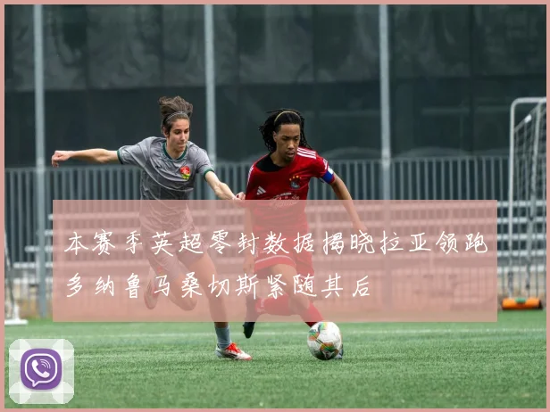 本赛季英超零封数据揭晓拉亚领跑多纳鲁马桑切斯紧随其后