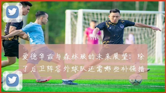 爱德华兹与森林狼的未来展望：除了后卫阵容外球队还需哪些补强措施